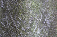 Raughton fibreglass roof work